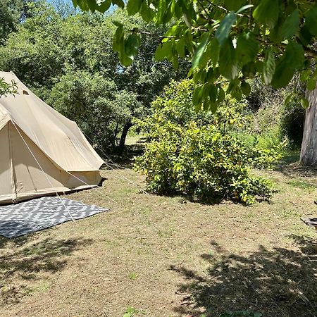 Giant Canvas Rental Tent Agro-Turismo Quinta Da Fonte Figueiro Dos Vinhos Dış mekan fotoğraf