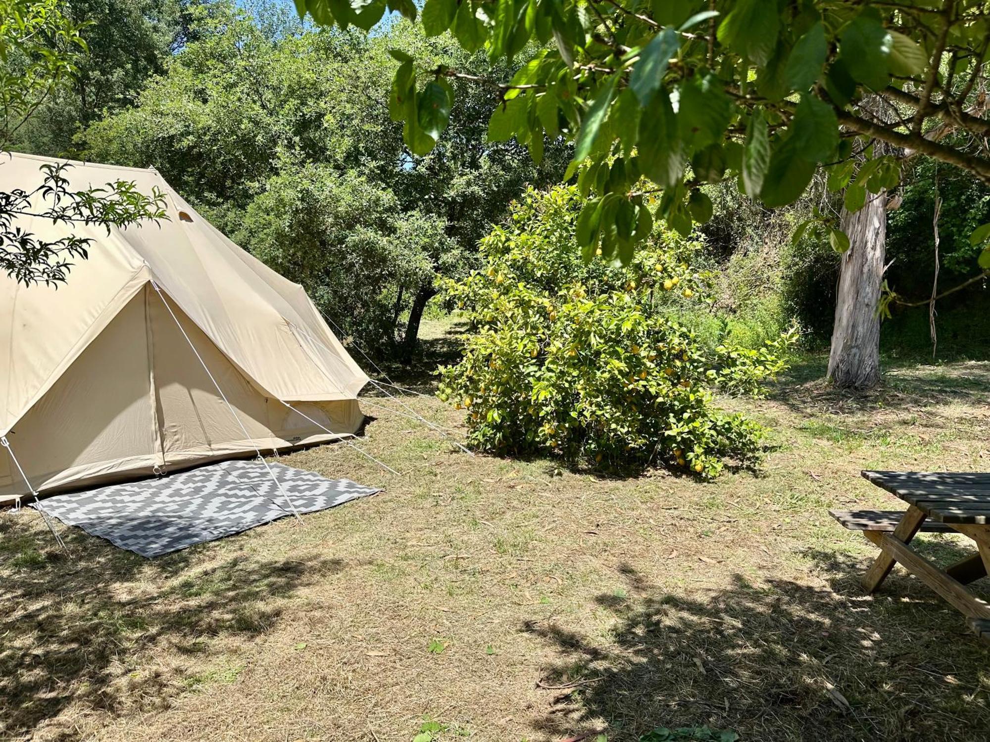 Giant Canvas Rental Tent Agro-Turismo Quinta Da Fonte Figueiro Dos Vinhos Dış mekan fotoğraf