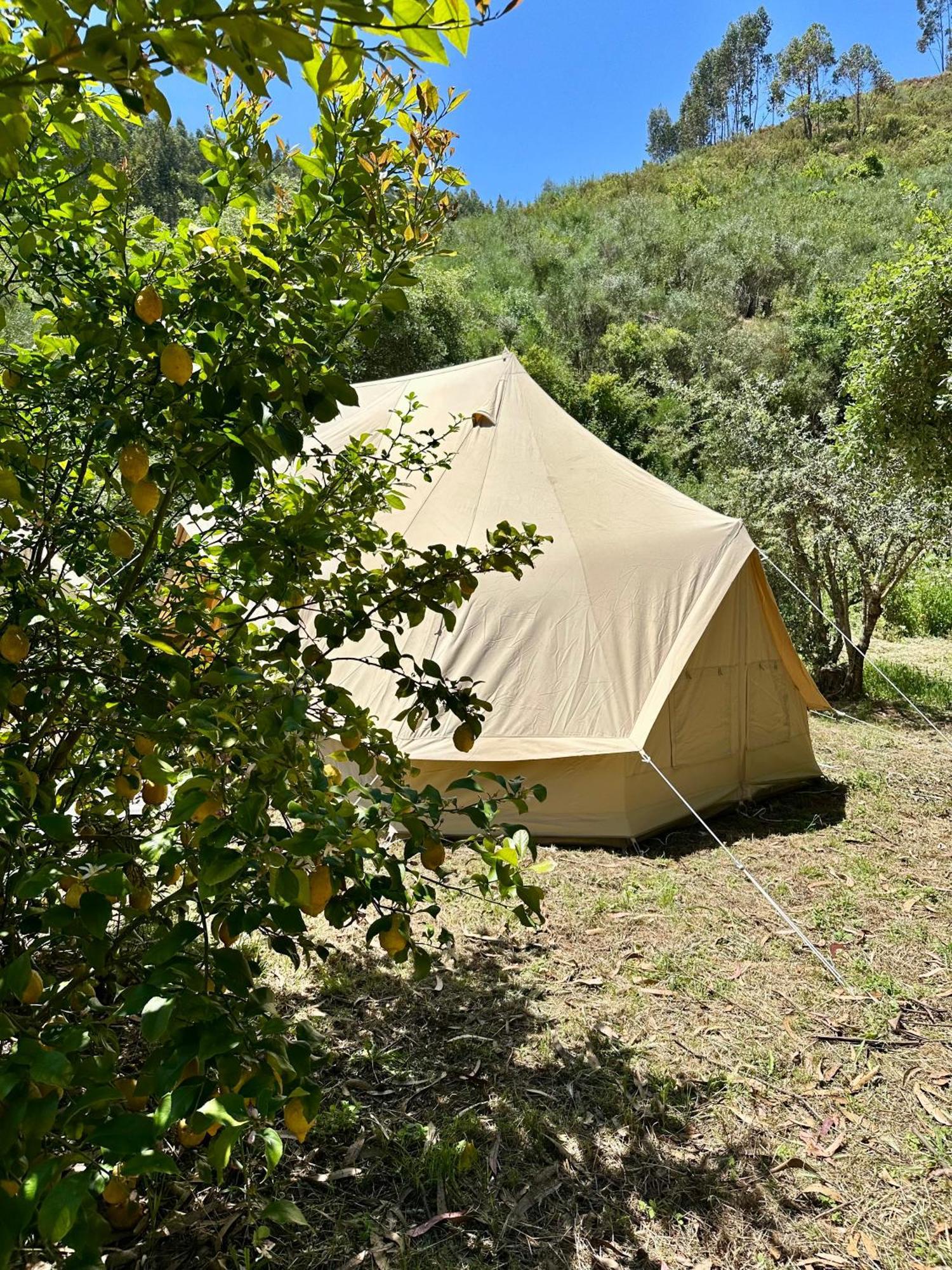 Giant Canvas Rental Tent Agro-Turismo Quinta Da Fonte Figueiro Dos Vinhos Dış mekan fotoğraf