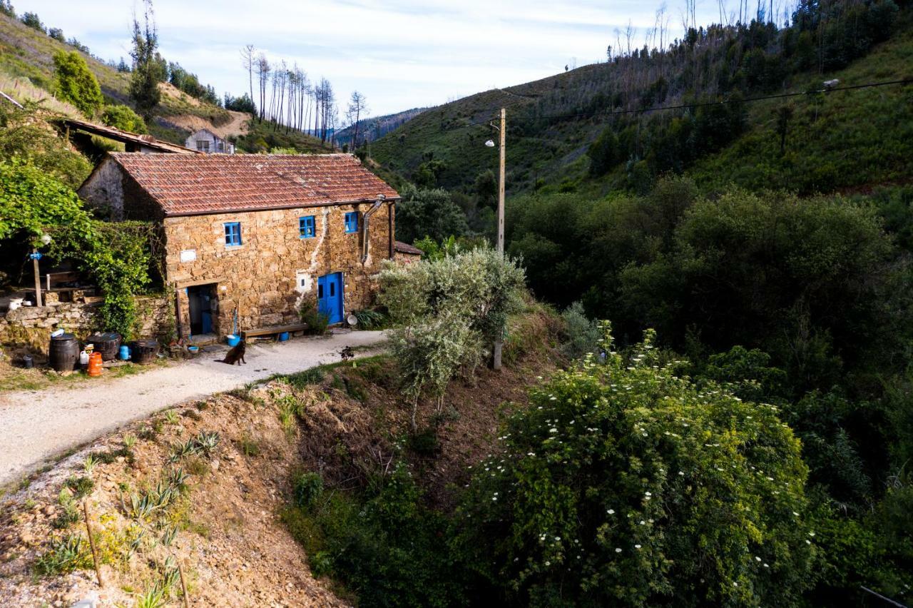 Giant Canvas Rental Tent Agro-Turismo Quinta Da Fonte Figueiro Dos Vinhos Dış mekan fotoğraf
