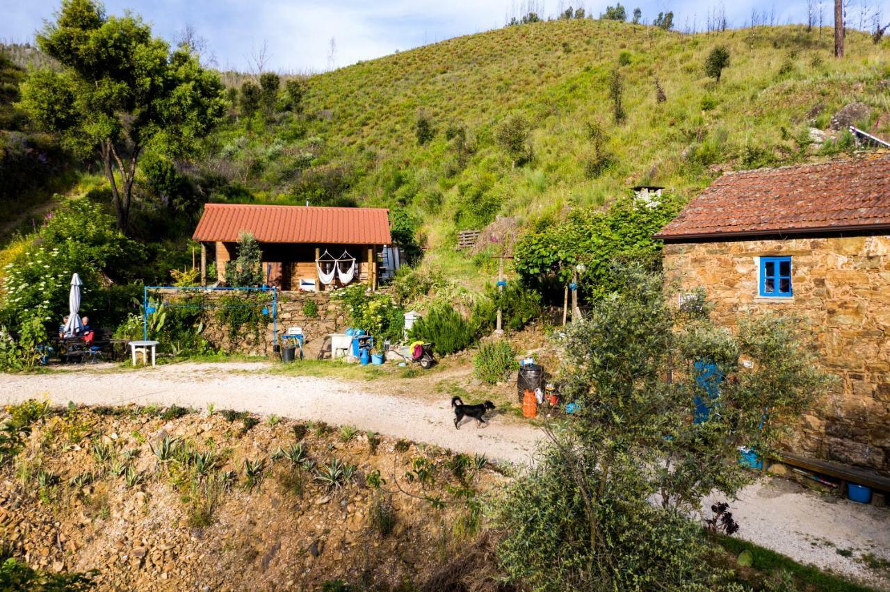 Giant Canvas Rental Tent Agro-Turismo Quinta Da Fonte Figueiro Dos Vinhos Dış mekan fotoğraf