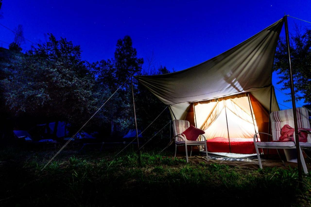 Giant Canvas Rental Tent Agro-Turismo Quinta Da Fonte Figueiro Dos Vinhos Dış mekan fotoğraf